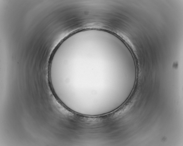 X0000091570941200709100954