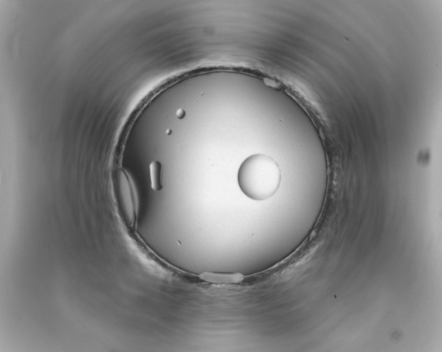 X0000091570942200709100954