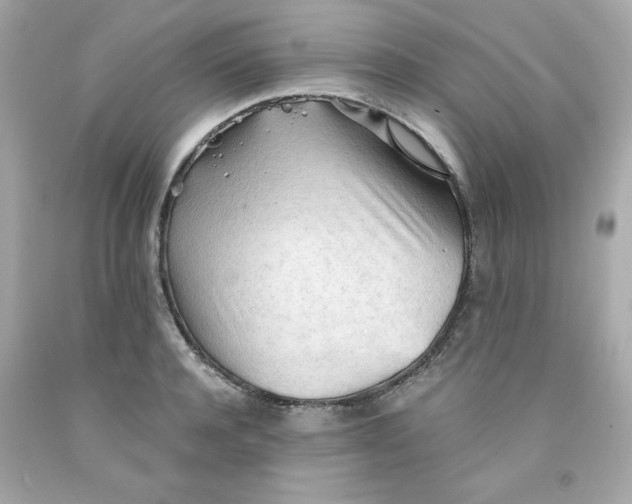 X0000091570944200709100954