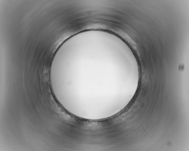 X0000091570945200709100954