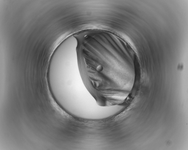 X0000091570946200709100954