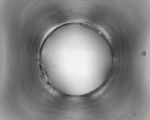 X0000091570948200709100954