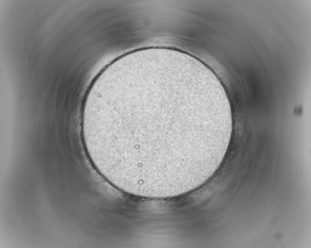 X0000091570950200709100954