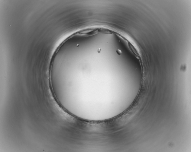 X0000091570951200709100954