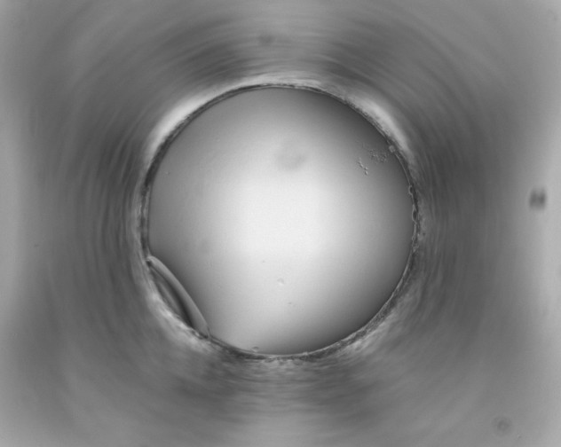 X0000091570952200709100954