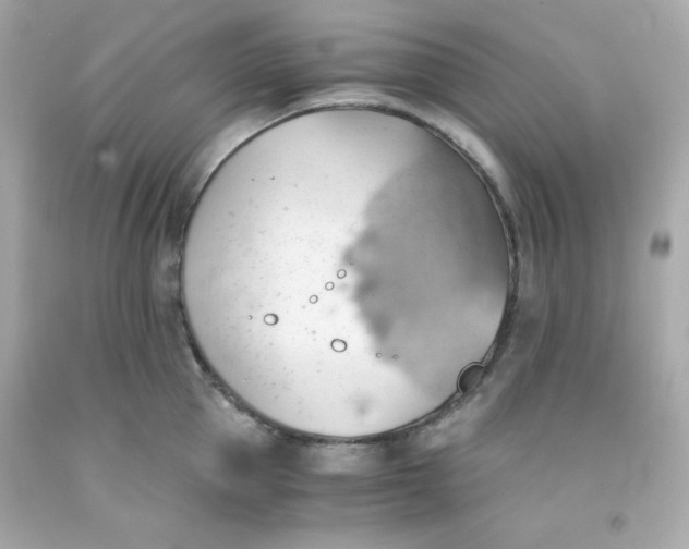 X0000091570953200709100954