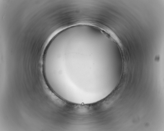 X0000091570955200709100954