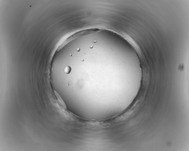 X0000091570956200709100954