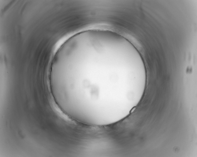 X0000091570960200709100954