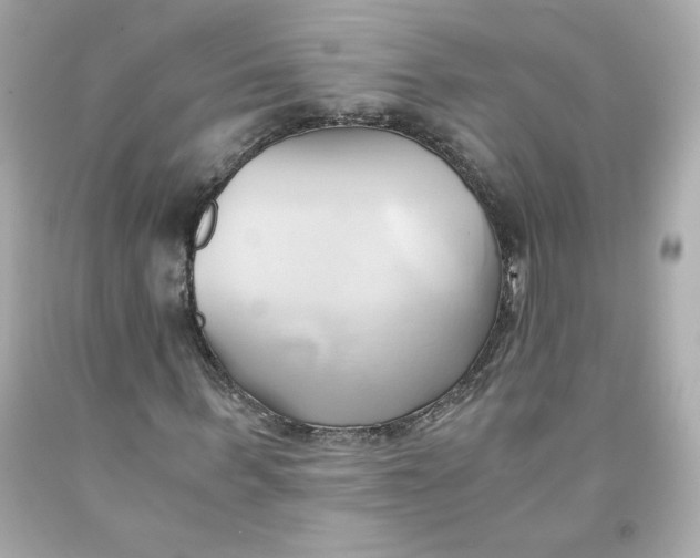 X0000091570963200709100953