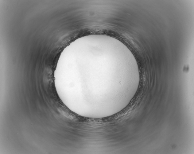 X0000091570964200709100953