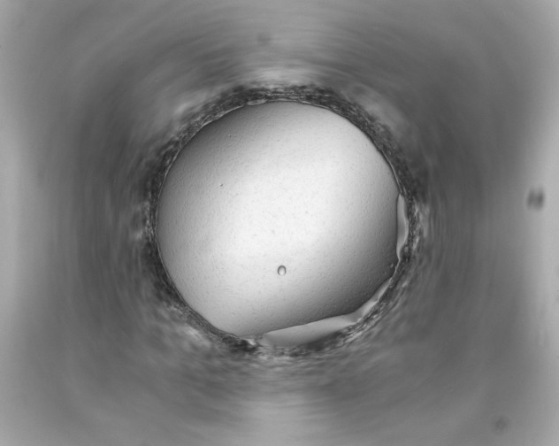 X0000091570965200709100953