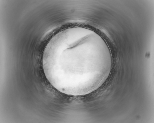 X0000091570967200709100953