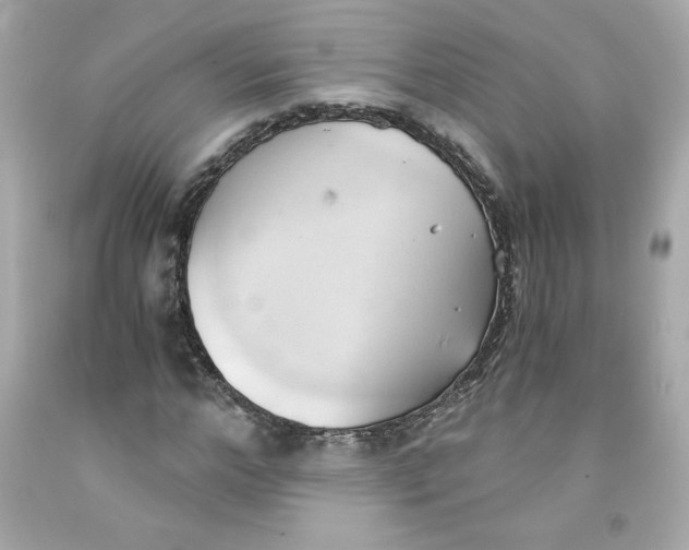 X0000091570968200709100953