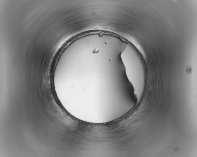 X0000091570972200709100953