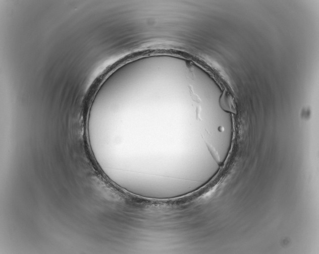 X0000091570973200709100953