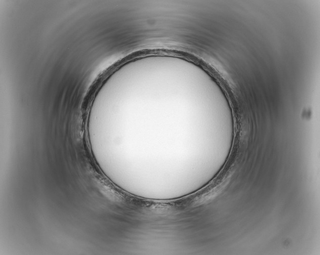 X0000091570974200709100953