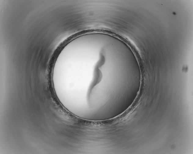 X0000091570975200709100953