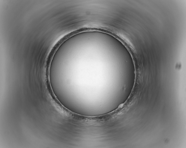 X0000091570976200709100953