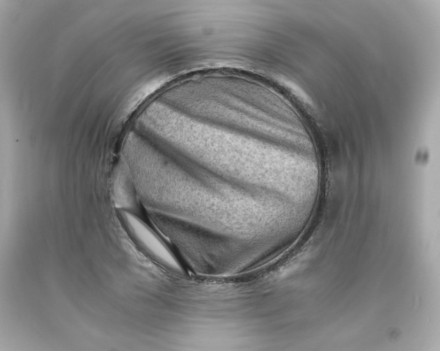 X0000091570977200709100953