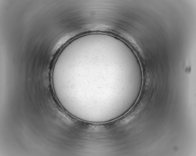 X0000091570978200709100953