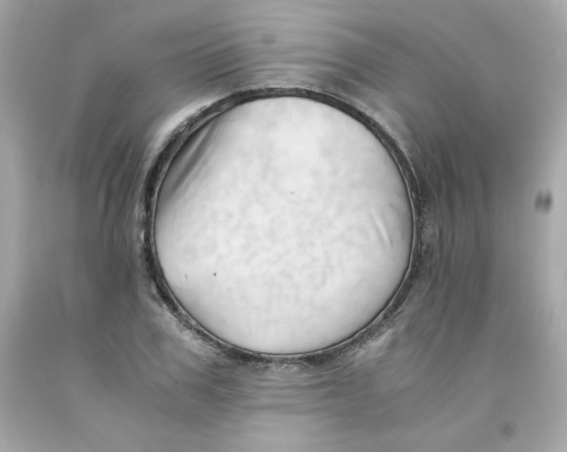 X0000091570979200709100953