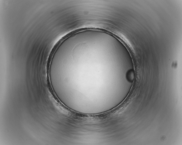 X0000091570980200709100953