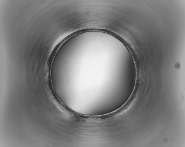 X0000091570981200709100953