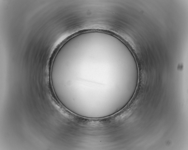 X0000091570982200709100953