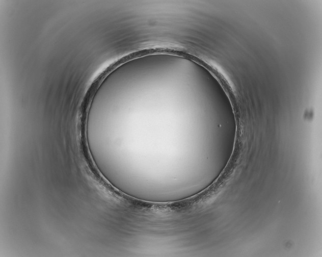 X0000091570983200709100953