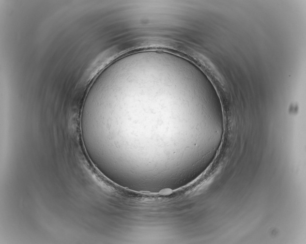 X0000091570985200709100953