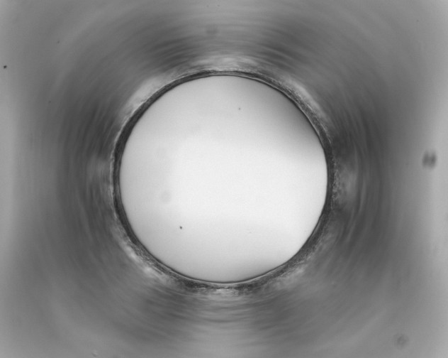 X0000091570986200709100953