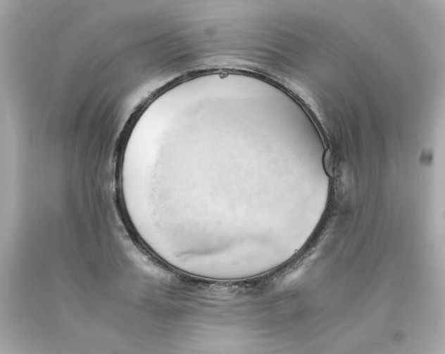 X0000091570987200709100953