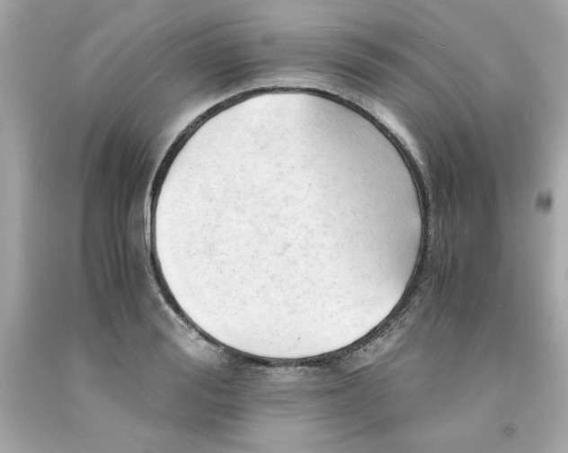 X0000091570988200709100953