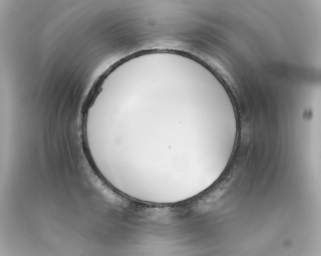 X0000091570990200709100953