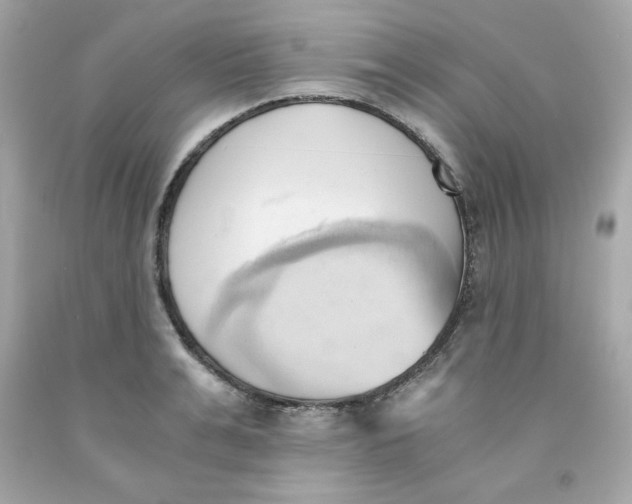 X0000091570991200709100953