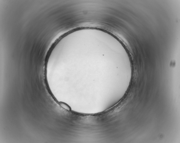 X0000091570992200709100953