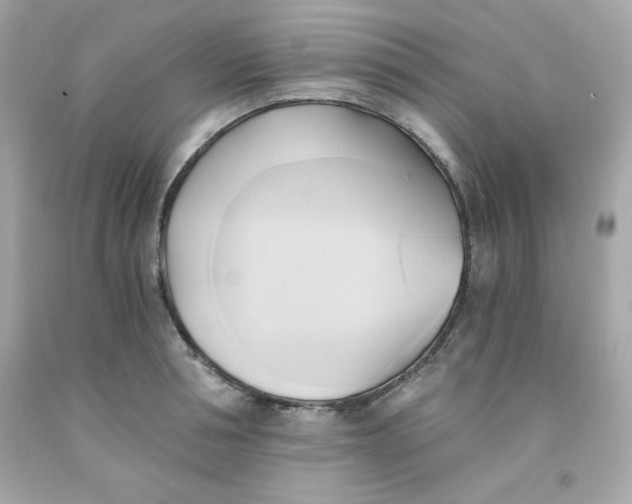 X0000091570994200709100953