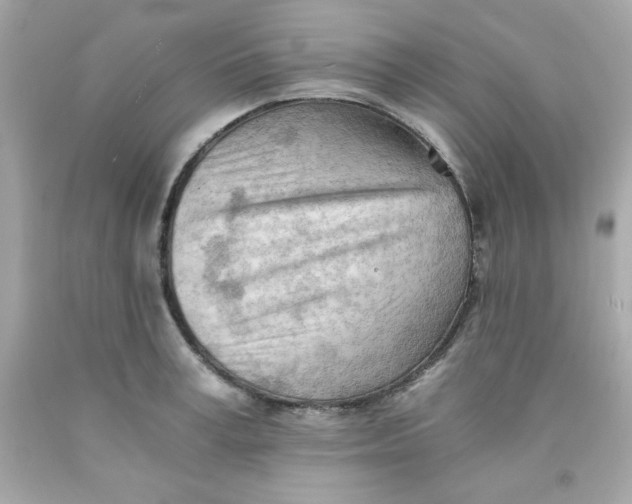 X0000091570995200709100953