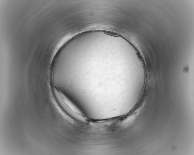 X0000091570997200709100953