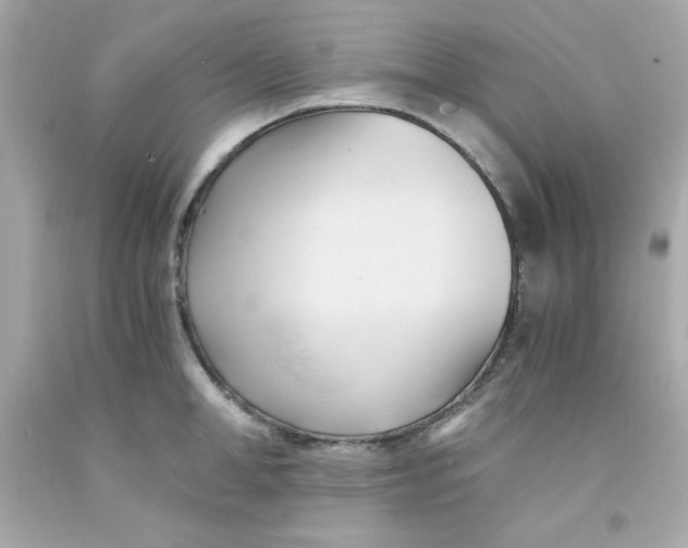 X0000091570998200709100953