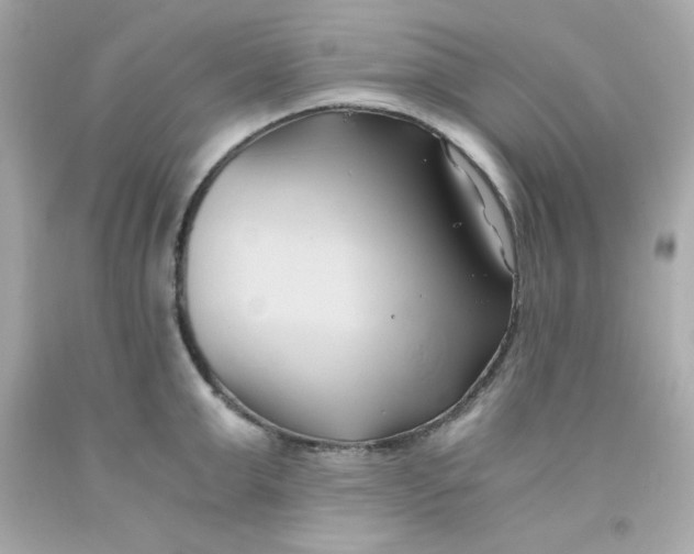 X0000091570999200709100953