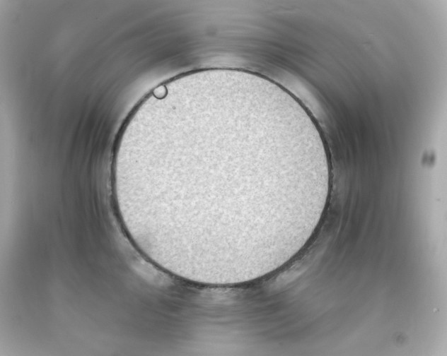 X0000091571000200709100953