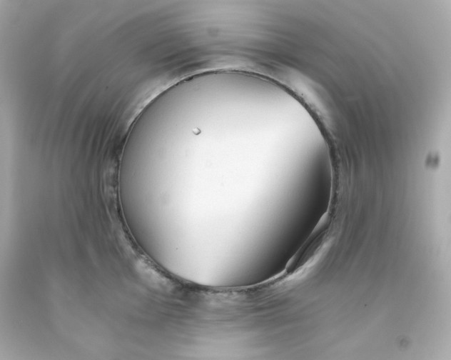 X0000091571001200709100953