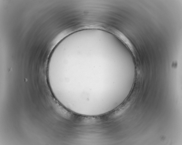 X0000091571002200709100953