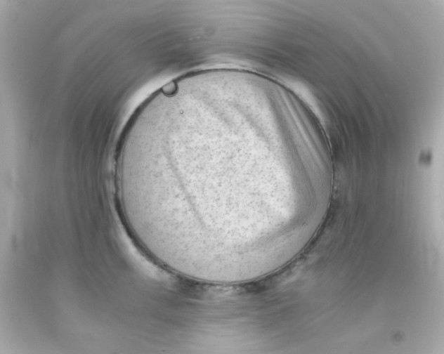 X0000091571003200709100953