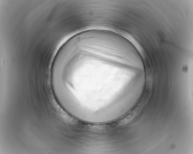 X0000091571004200709100952