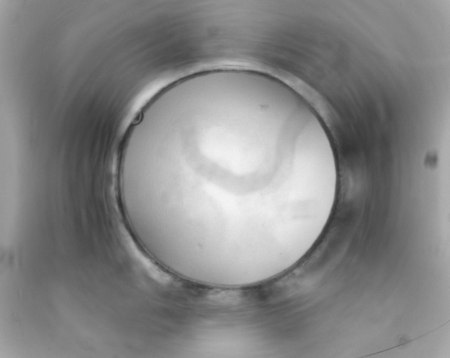 X0000091571006200709100952