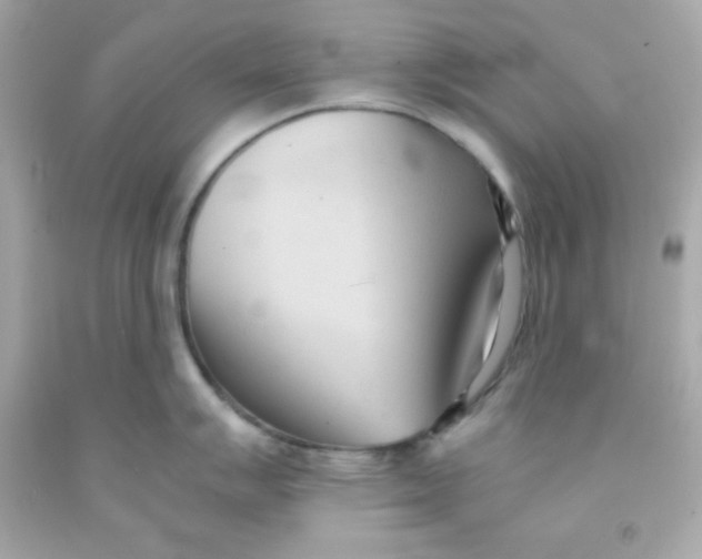 X0000091571007200709100952