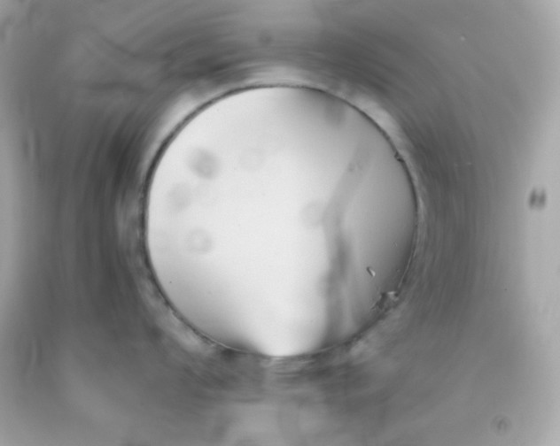 X0000091571008200709100952